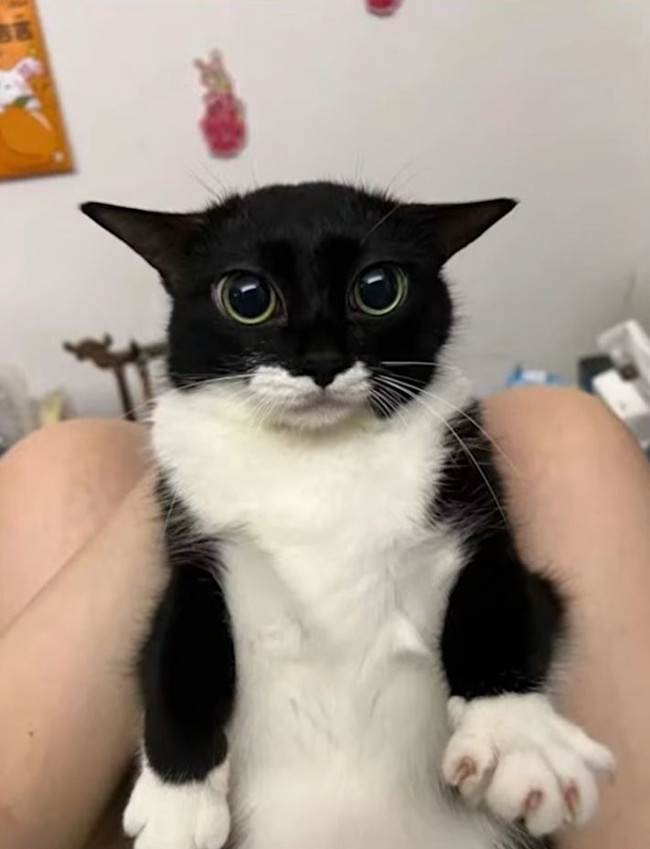 Profile picture of Lucifex